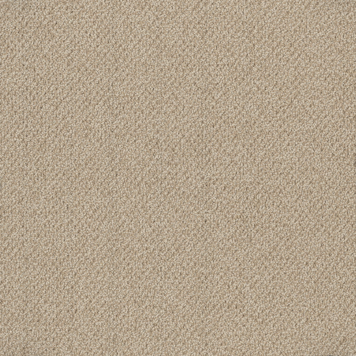Bourkesgate Carpet