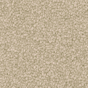 Beige carpet texture swatch