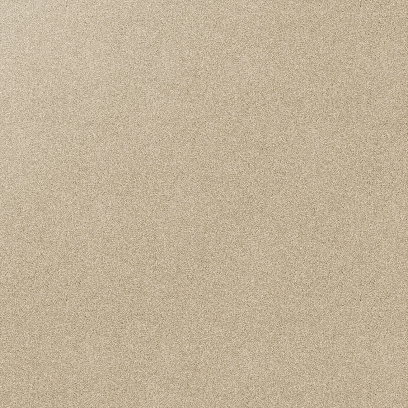 Beige color carpet with a textured pattern