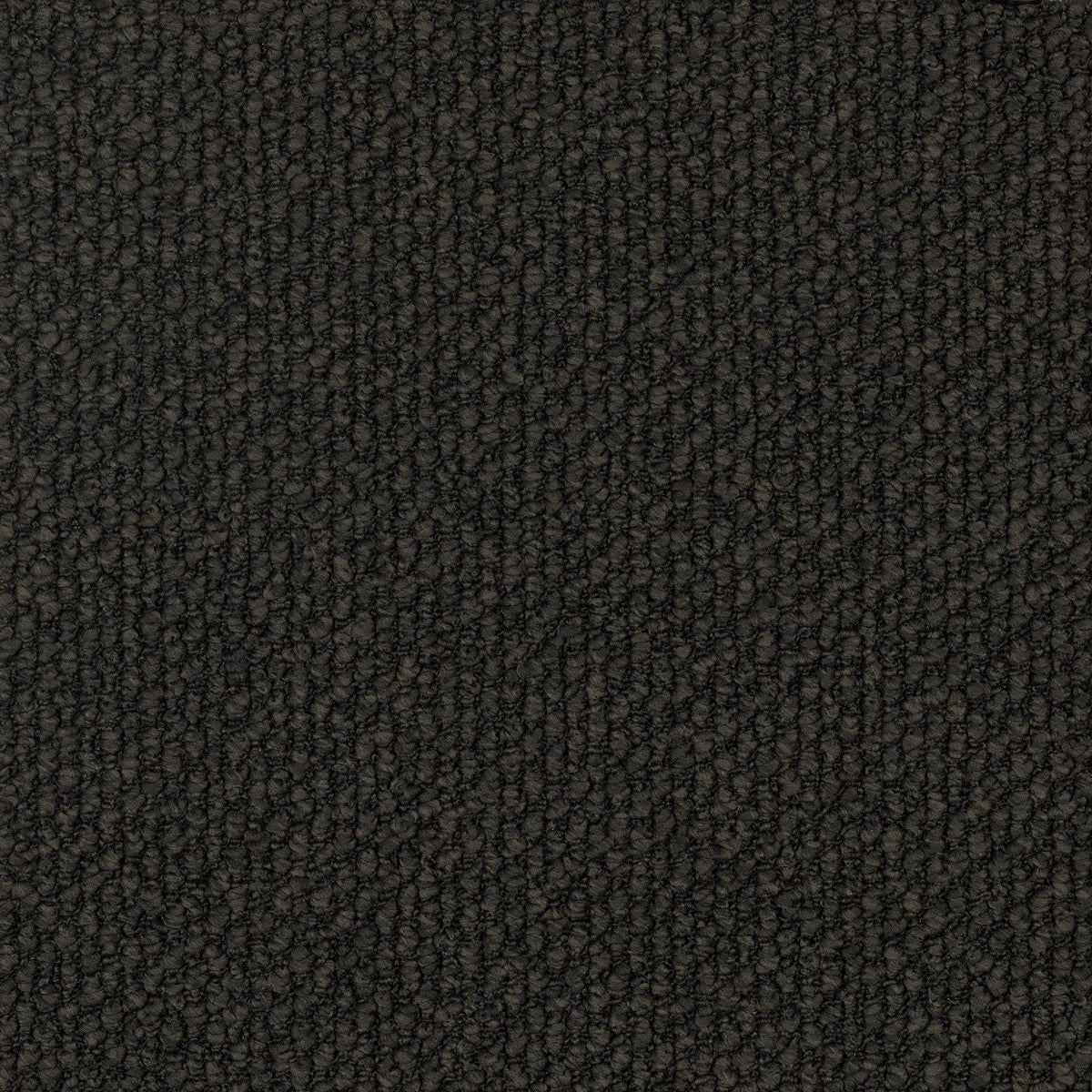 Montrosa Carpet