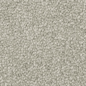 Textured Carpet swatch