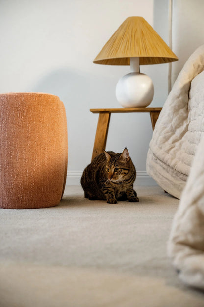 Coco Bliss Carpet