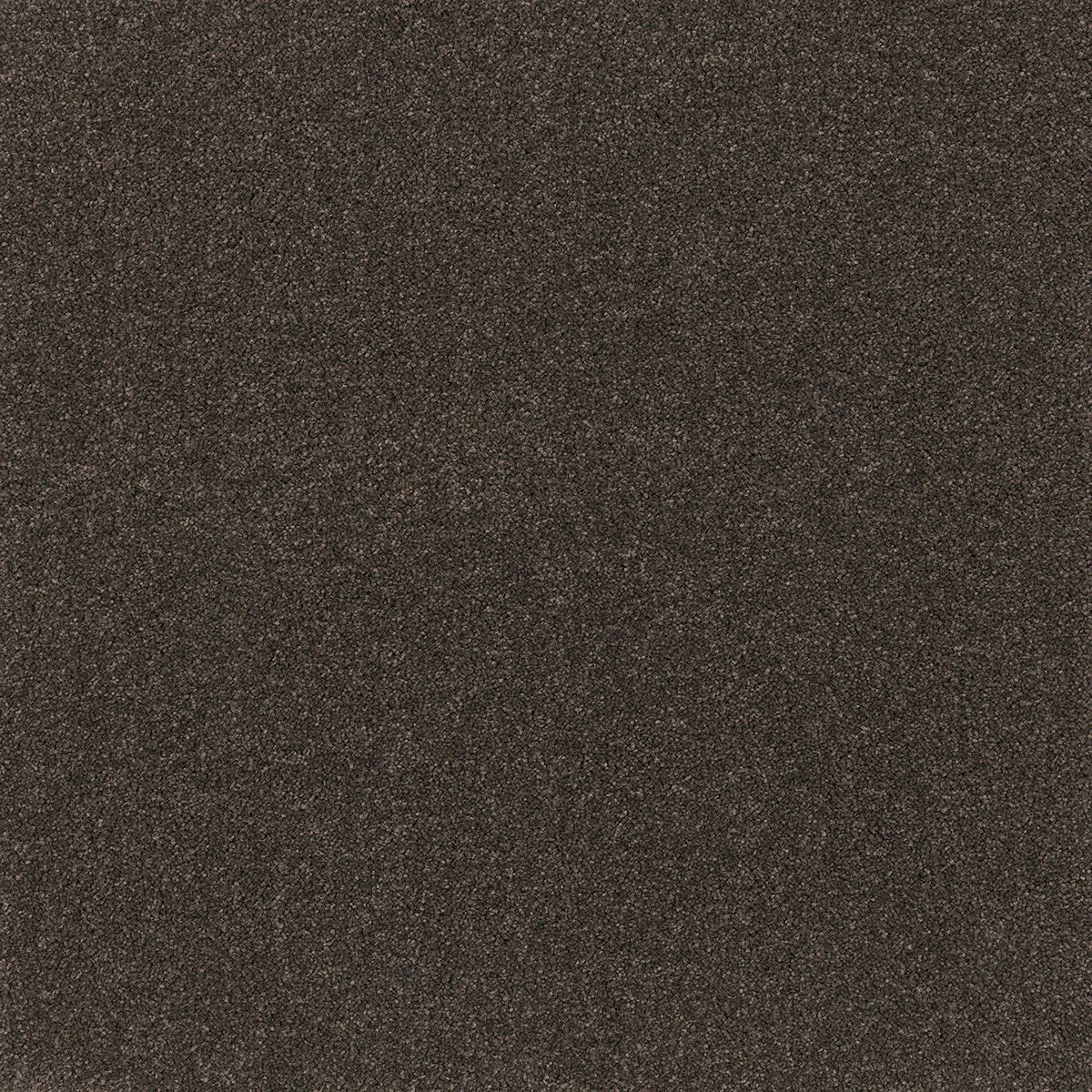Coco Bliss Carpet