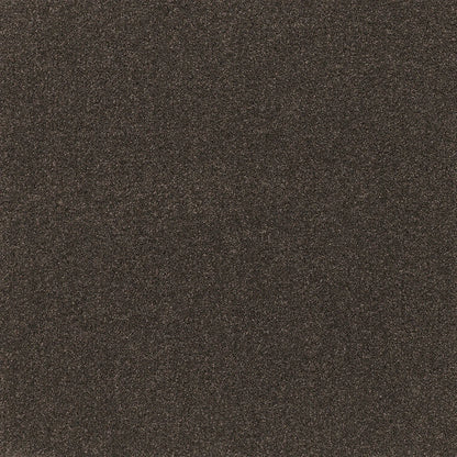 Coco Bliss Carpet