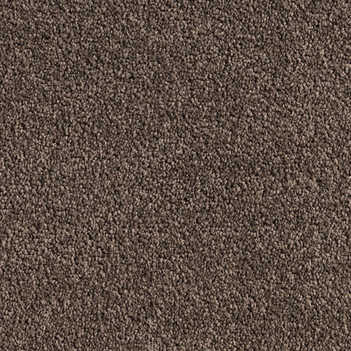 Neutral brown Cut Pile Twist carpet, Cedar Plank. 