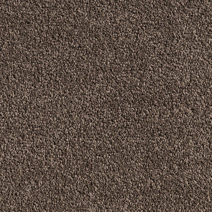 Neutral brown Cut Pile Twist carpet, Cedar Plank. 
