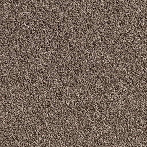 Neutral brown Cut Pile Twist carpet, Nordica.  