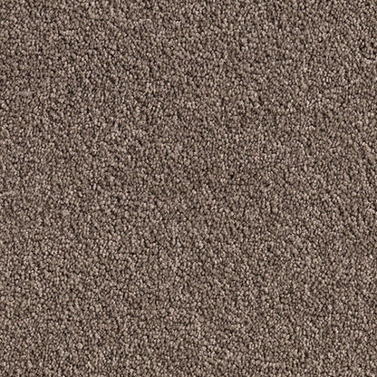 Neutral brown Cut Pile Twist carpet, Nordica.  