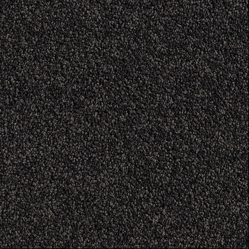 Black Cut Pile Twist carpet, Shadow.