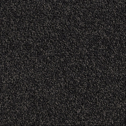 Black Cut Pile Twist carpet, Shadow.