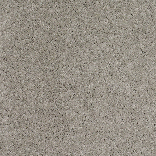 Light Grey / Silver Cut Pile Twist carpet, Surf Twist. 