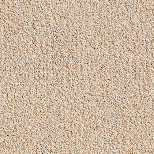 Beige Cut Pile Twist carpet, Vellum