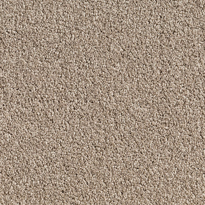 Textured Cut Pile Twist Carpet, very light beige. White Duck. 