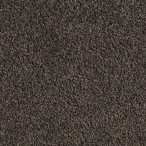 Textured dark Cut Pile Twist carpet, Winding Path.