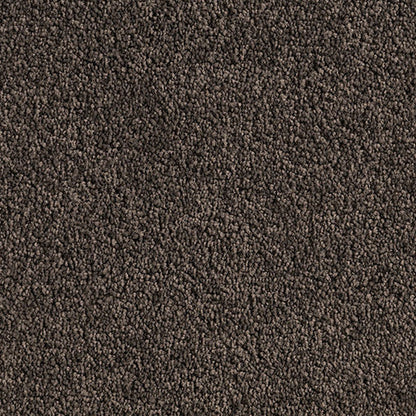 Textured dark Cut Pile Twist carpet, Winding Path.