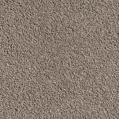 Textured light grey carpet with 'Zinia'.