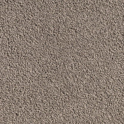 Textured light grey carpet with 'Zinia'.