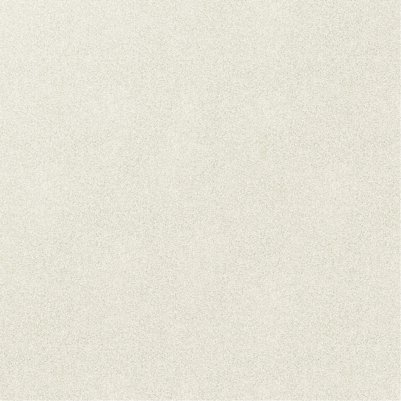 Solid light gray color carpet close up