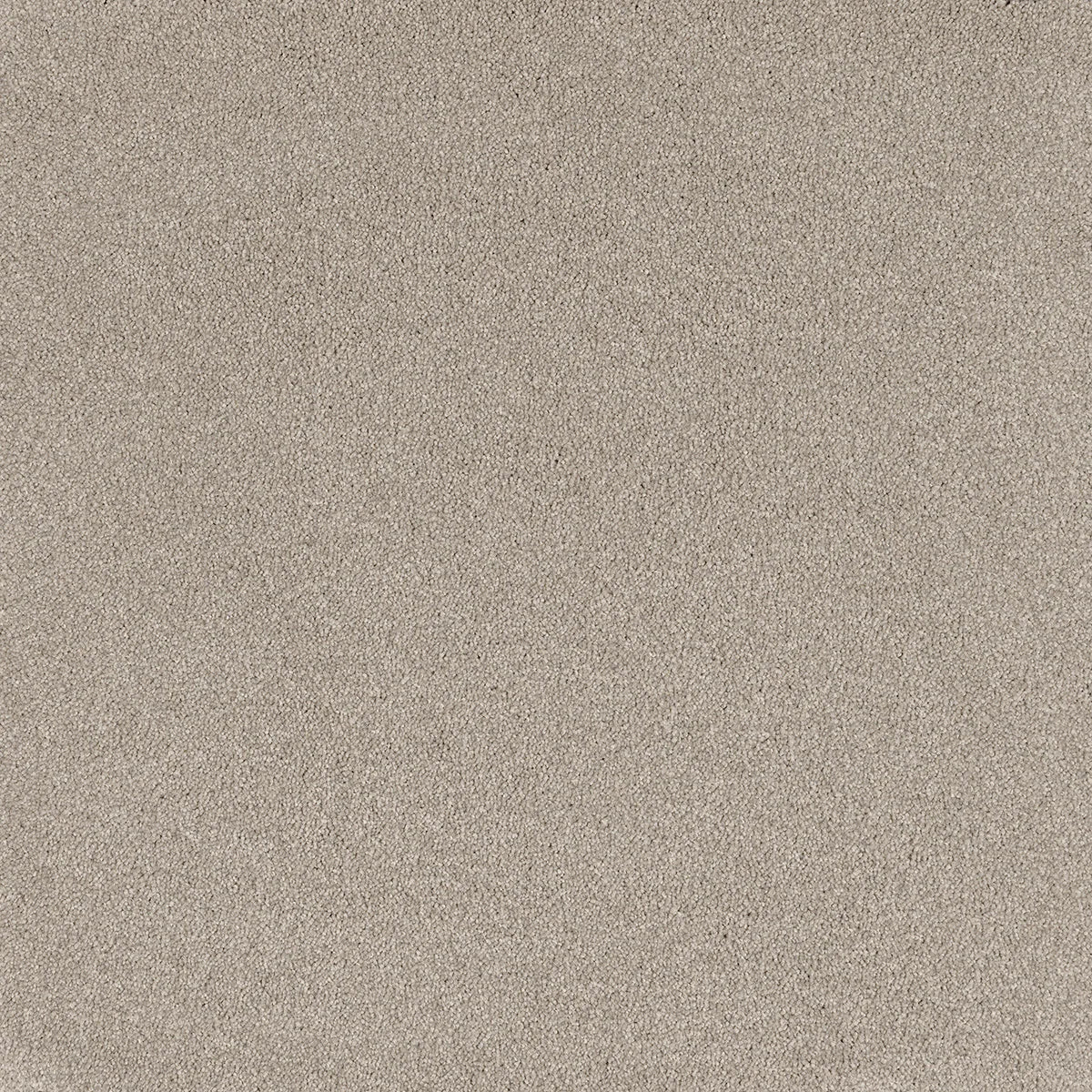 Coco Bliss Carpet