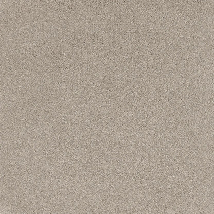 Coco Bliss Carpet