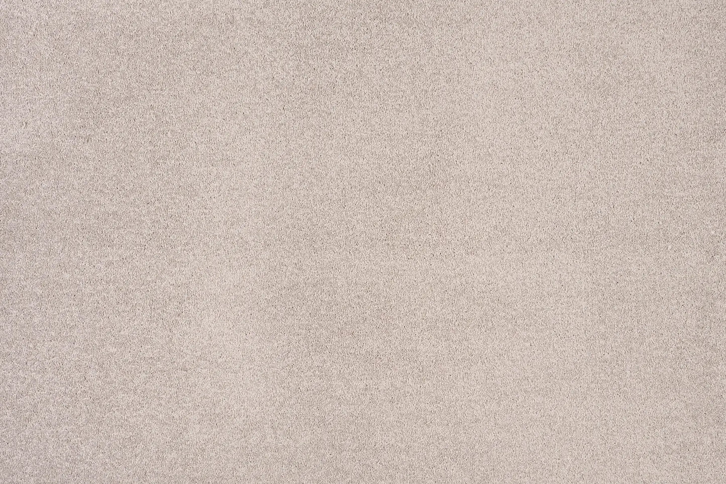 Delmara Carpet