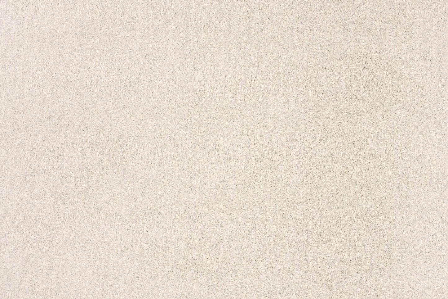 Delmara Carpet
