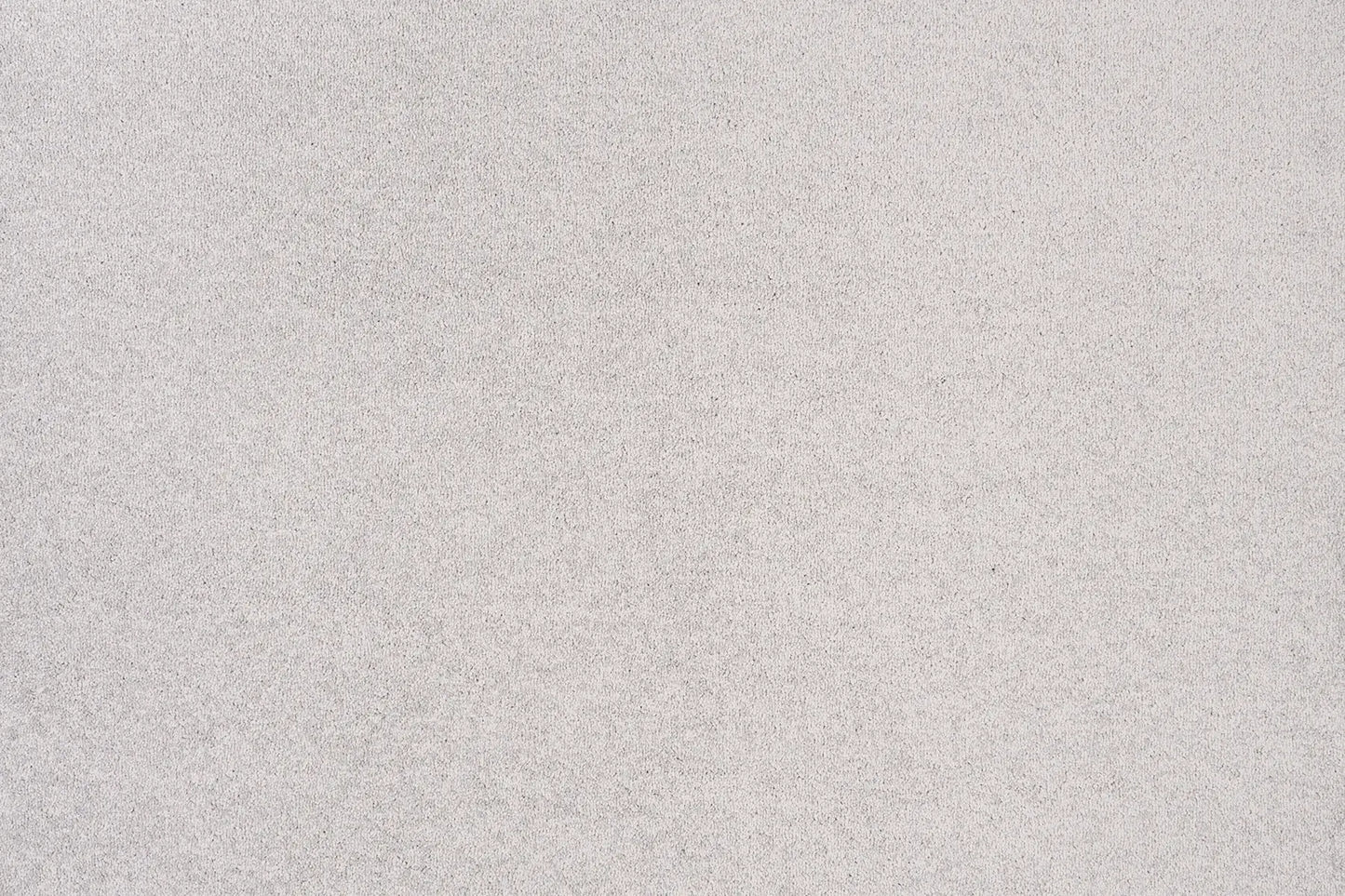 Delmara Carpet