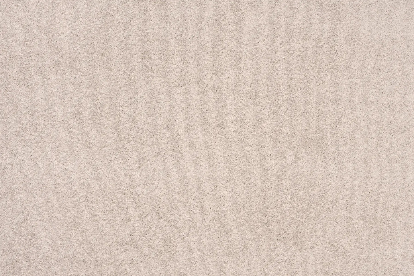 Delmara Carpet