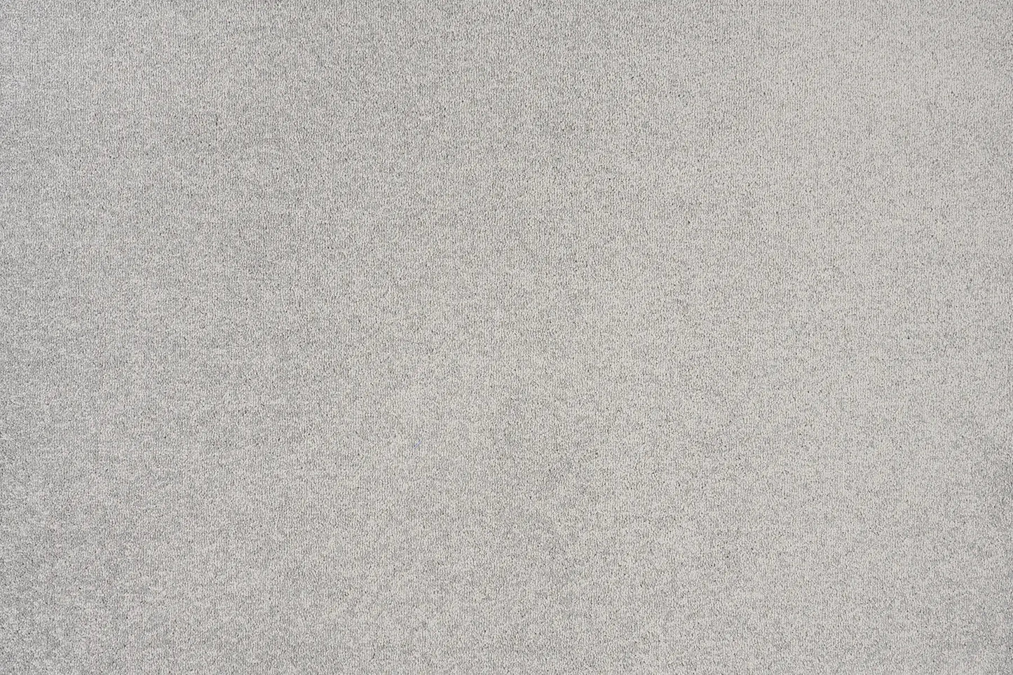 Delmara Carpet