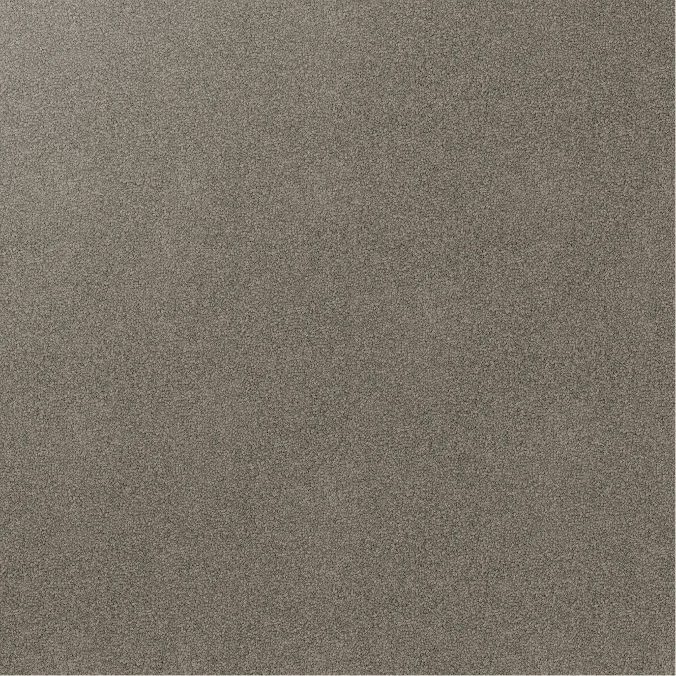 Gray triextra cut pile twist carpet available at Award Carpets. From Inspirational range by Godfrey Hirst.