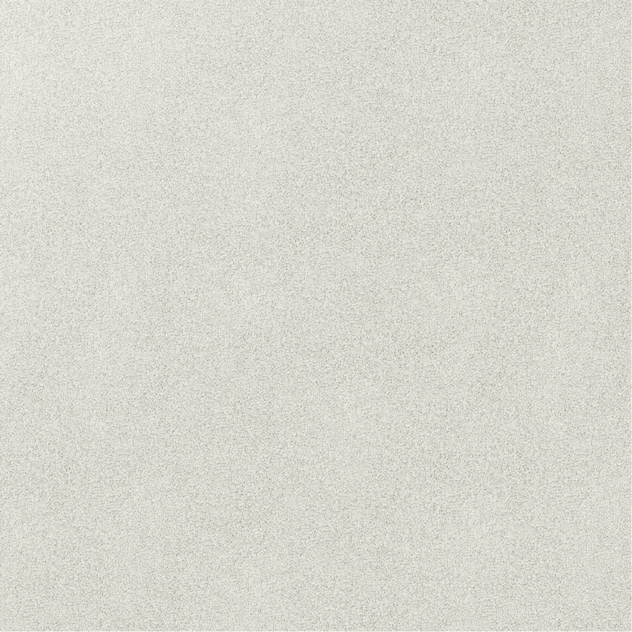 Solid light gray color carpet