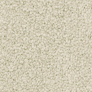 Close-up of beige carpet texture