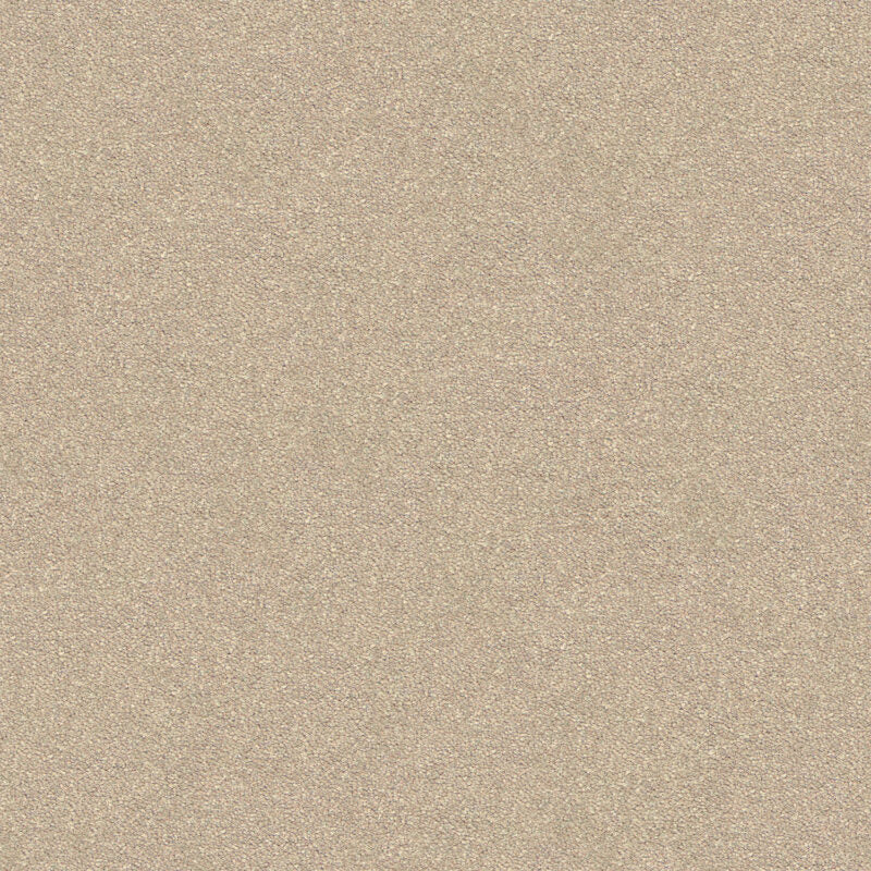 Dream Shadows Carpet