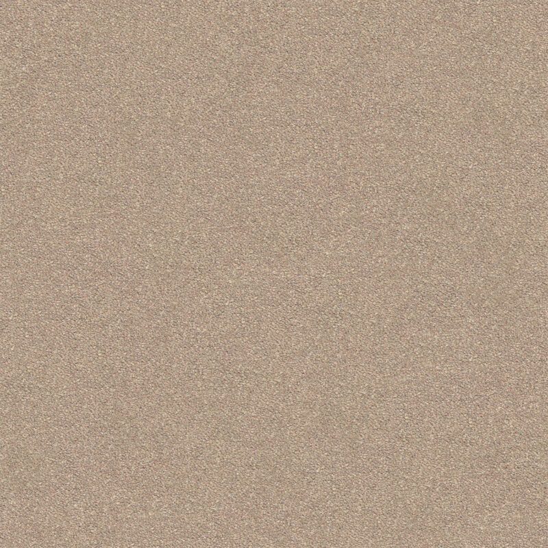 Dream Shadows Carpet