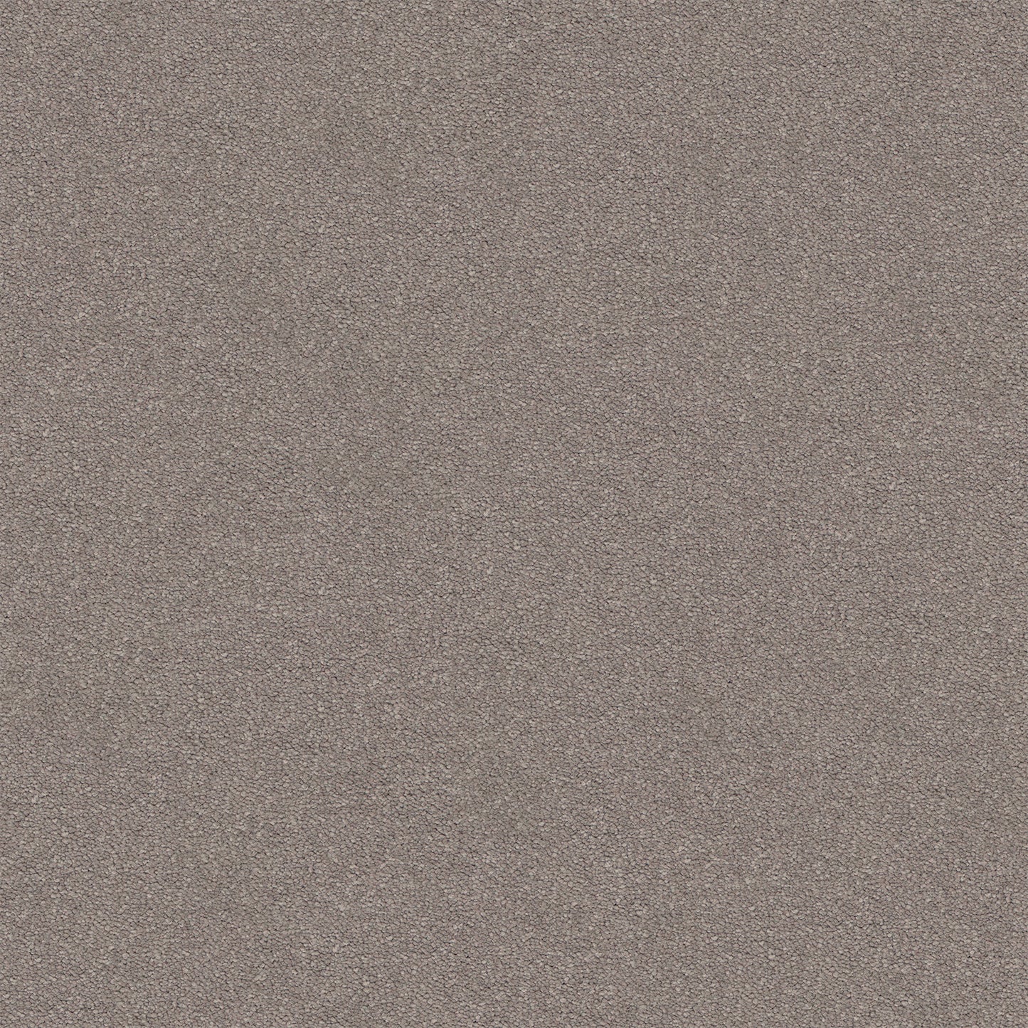 Dream Shadows Carpet