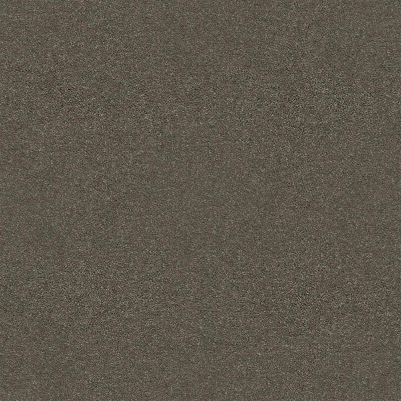 Dream Shadows Carpet