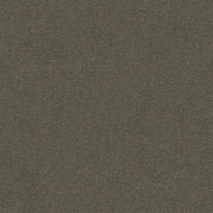 Dream Shadows Carpet
