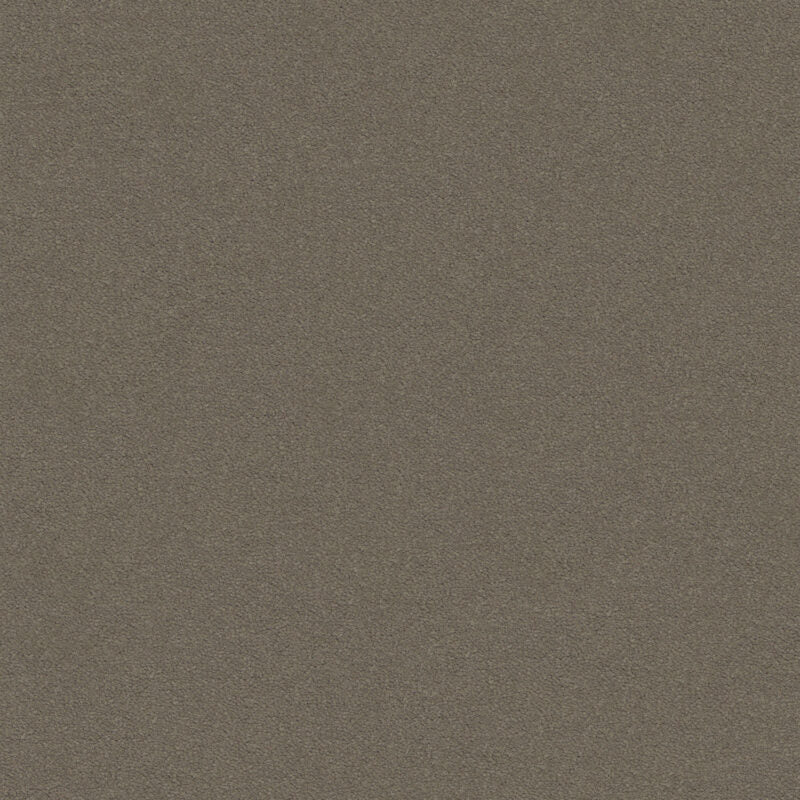 Dream Shadows Carpet