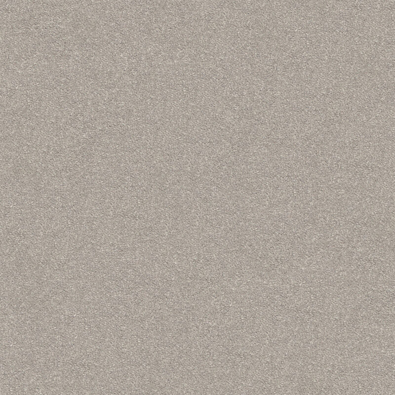 Dream Shadows Carpet