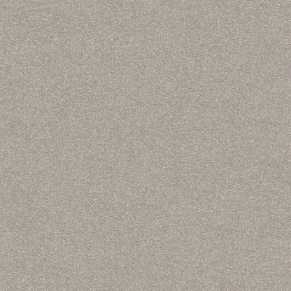 Dream Shadows Carpet