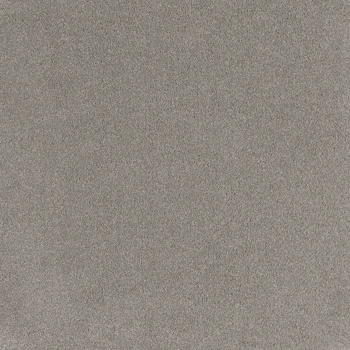 Coco Bliss Carpet