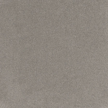 Coco Bliss Carpet