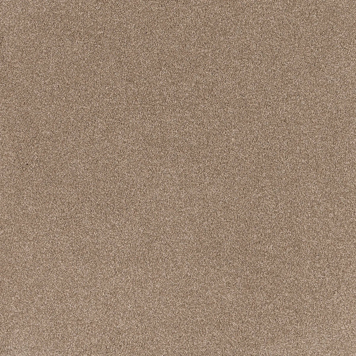 Coco Bliss Carpet