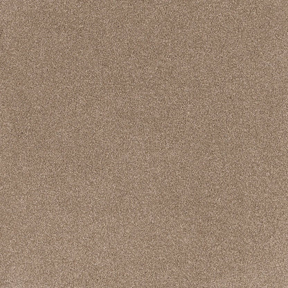 Coco Bliss Carpet