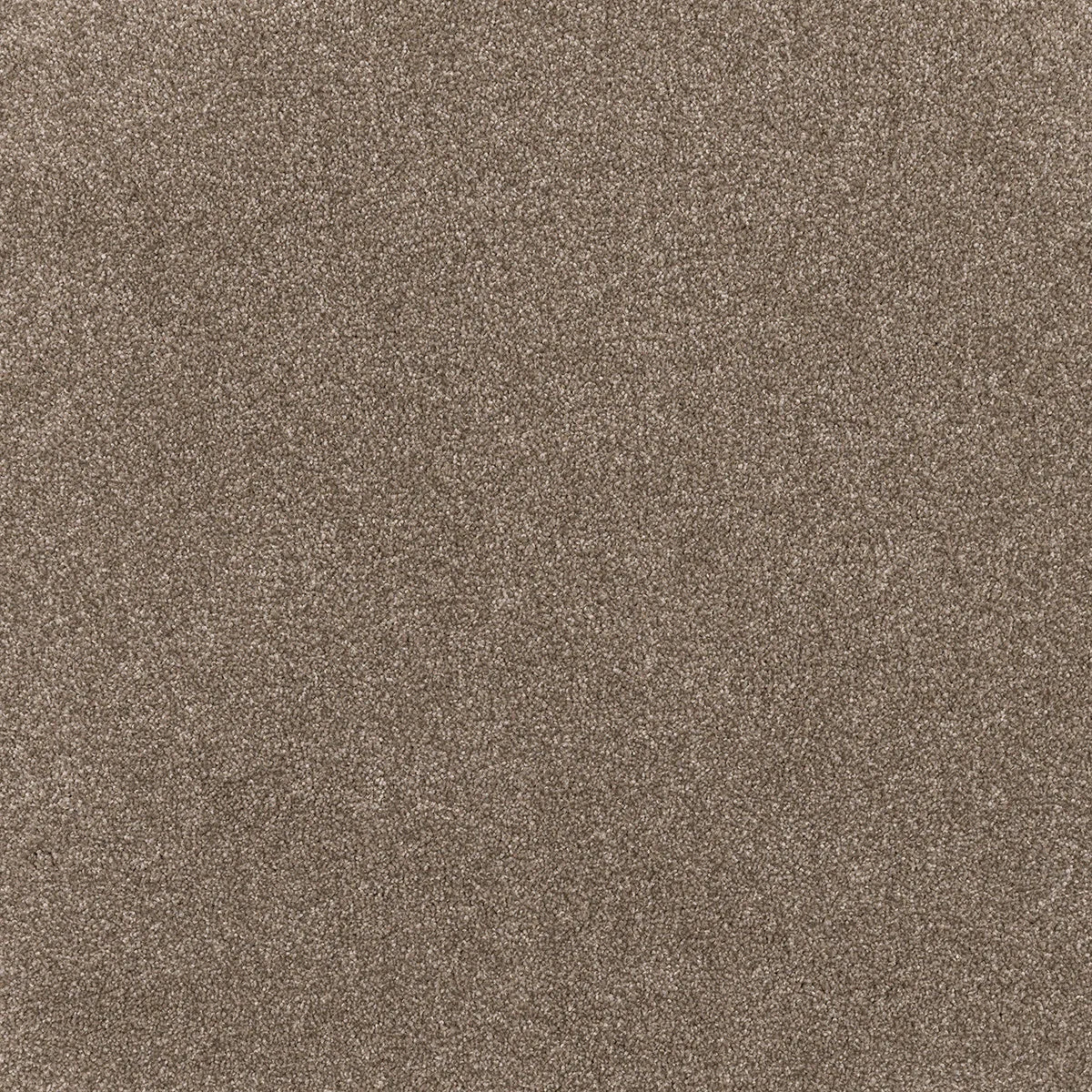 Coco Bliss Carpet