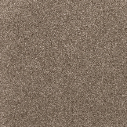 Coco Bliss Carpet