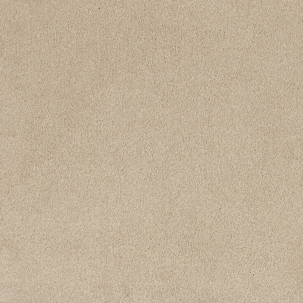 Coco Bliss Carpet