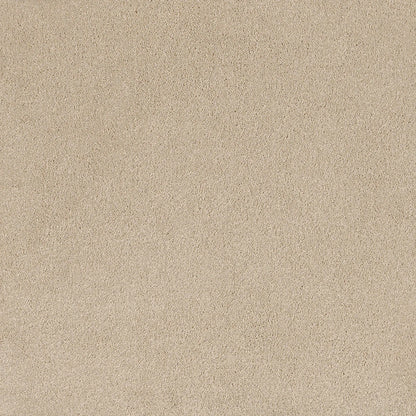 Coco Bliss Carpet