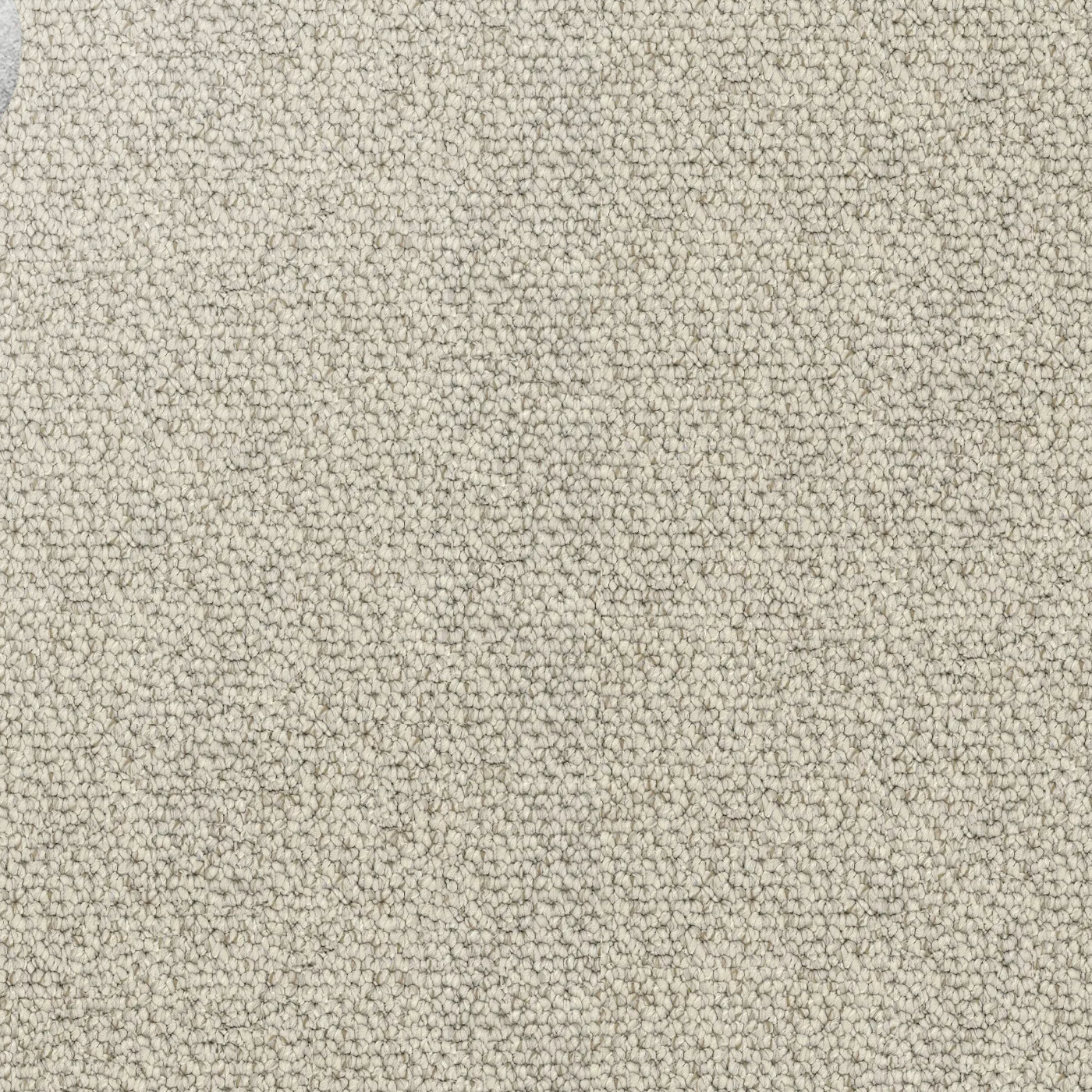 Close-up showing the chunky loop pile texture of solution dyed nylon carpet for family living spaces. Light Beige