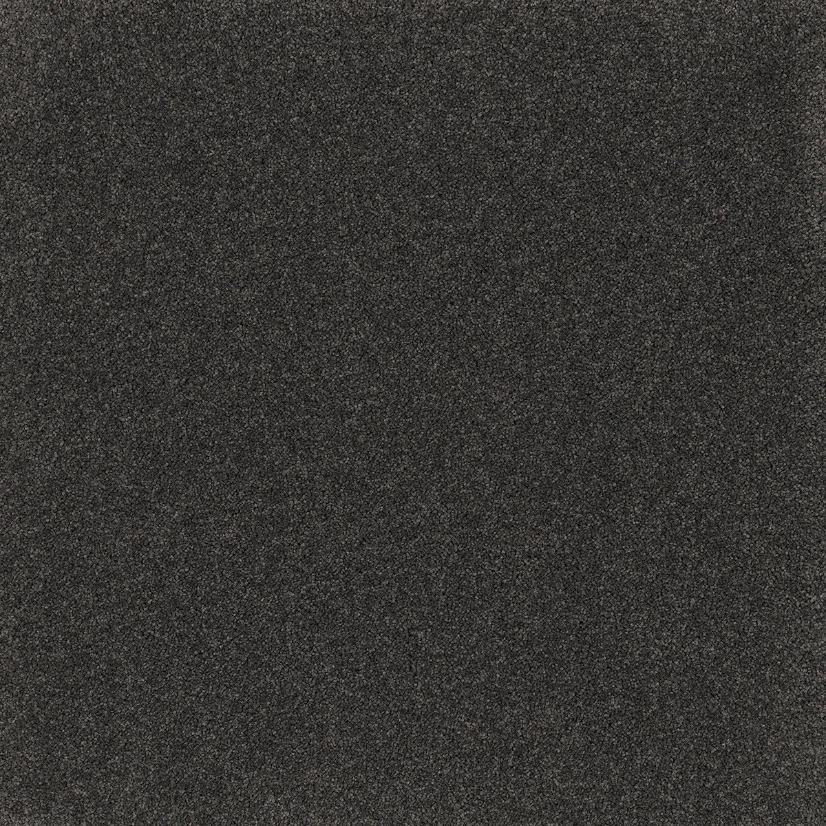 Coco Bliss Carpet